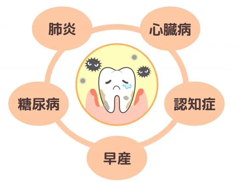 茗荷谷駅徒歩2分の歯医者｜佐藤歯科医院の予防歯科